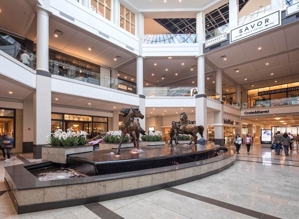Rainy Day in White Plains: Indoor Plans, Coffee Stops, and Quick Errands